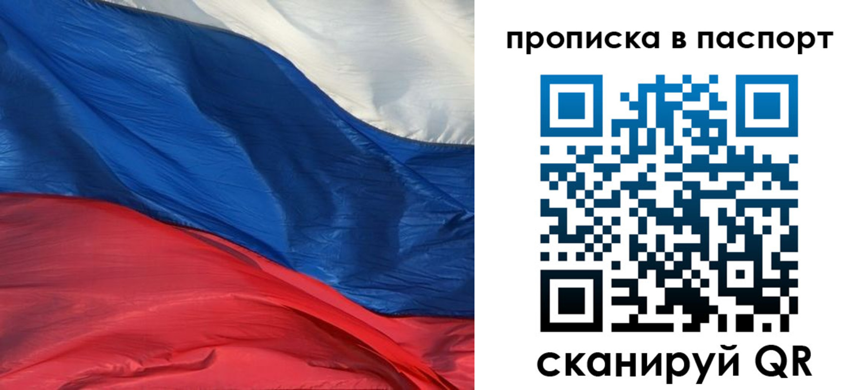 найти адрес прописки в Сольцах